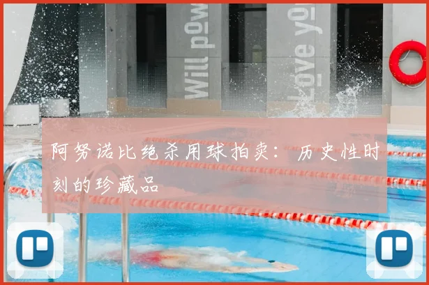 阿努诺比绝杀用球拍卖:历史性时刻的珍藏品