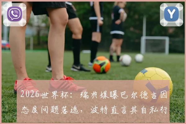 2026世界杯：瑞典媒曝巴尔德吉因态度问题落选，波特直言其自私行为成关键