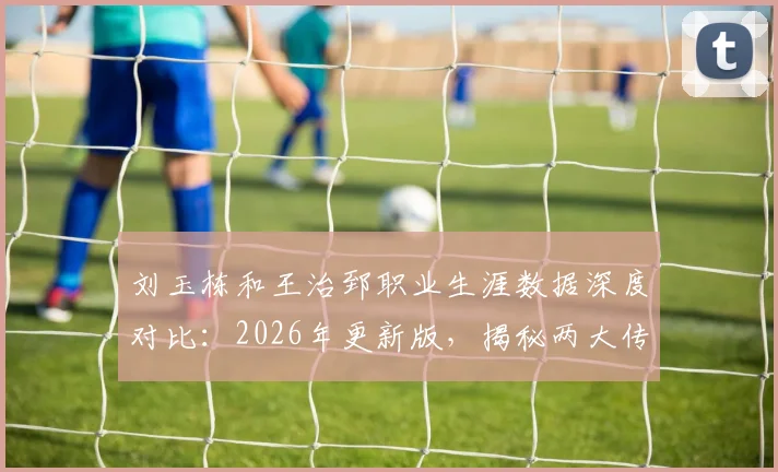 刘玉栋和王治郅职业生涯数据深度对比:2026年更新版,揭秘两大传奇中锋的荣誉与技术特点差异